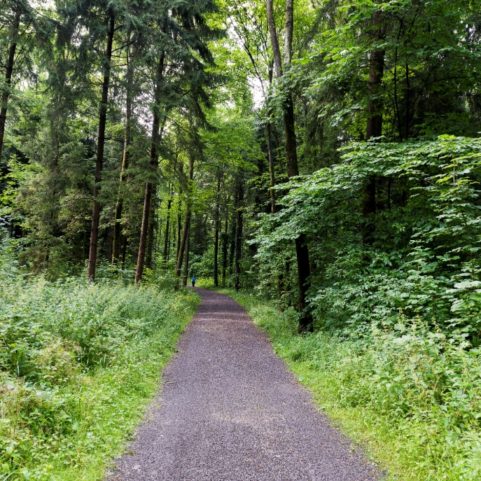 Waldweg