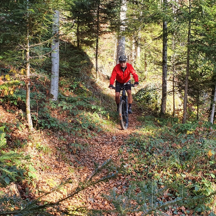 Biker im Wald