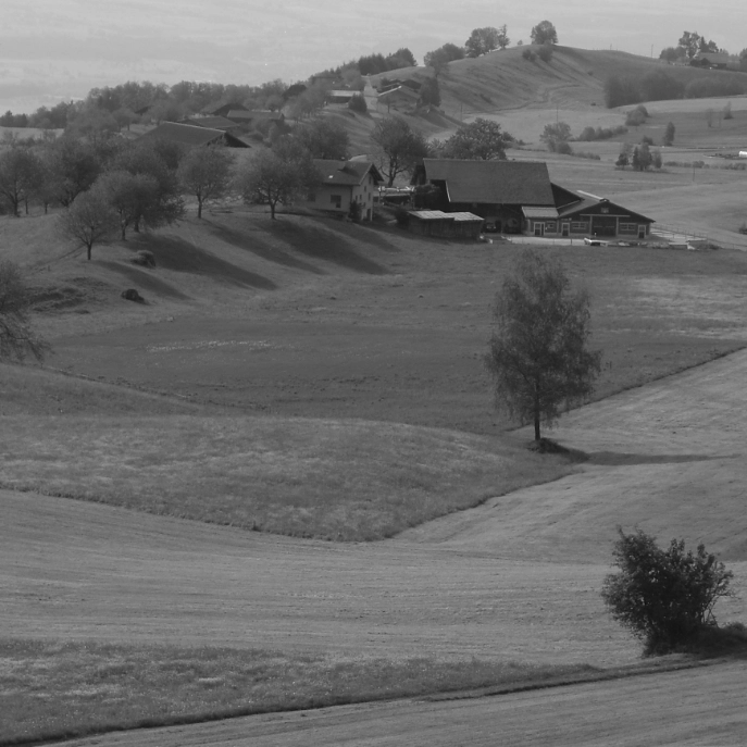 Walchwiler Berg